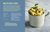 Zusatzmaterial PA 978 3 7335 0487 8 innen 002 von CrispyRobs Meine Top 50 Rezepte: Schnelle und einfache Gerichte für Sandwichmaker, Mikrowelle, Waffeleisen, Herd und Backofen. von CrispyRob