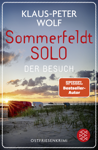 Buchcover von Sommerfeldt Solo – Der Besuch