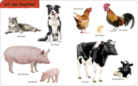 Zusatzmaterial PA 978 3 7373 3671 0 innen 001 von Duden 12+: Kennst du das? Die Tiere