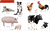 Zusatzmaterial PA 978 3 7373 3671 0 innen 001 von Duden 12+: Kennst du das? Die Tiere