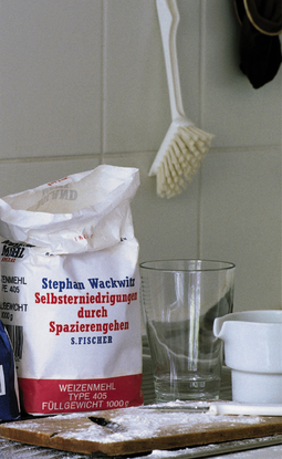 Buchcover von Selbsterniedrigung durch Spazierengehen: Essays von Stephan Wackwitz