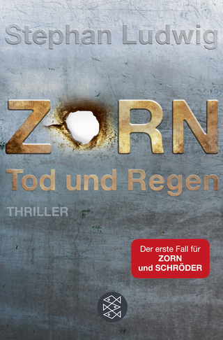 Buchcover von Zorn – Tod und Regen: Thriller