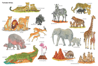 Zusatzmaterial PA 978 3 7373 3474 7 innen 012 von Duden 24+: Igel, Frosch & Elefant: Das große Wimmelbuch der Tiere: Wimmelbuch von Christina Braun, Sebastian Coenen