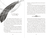 Zusatzmaterial PA 978 3 7373 4319 0 innen 003 von Kaya Silverwings - The Secret of the Magical Feathers (vol. 1) von Nelly Möhle, Alina Brost