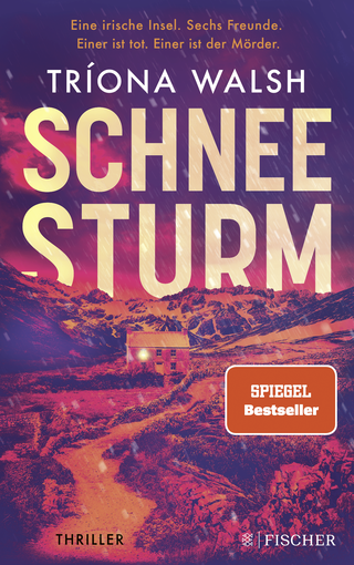Buchcover von Schneesturm: Thriller