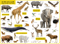 Zusatzmaterial PA 978 3 7373 3491 4 innen 001 von Do You Know? The Big Animal Picture Dictionary: extra großes Foto-Pappbilderbuch 