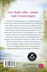 Zusatzmaterial 9783596708475 U4 von Das Leuchten der Blätter: Ein Sehnsuchtswald-Roman von Patricia Koelle