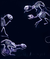 Zusatzmaterial U2 978 3 596 70046 2 von H. P. Lovecraft. Das Werk II: Große kommentierte Ausgabe von H.P. Lovecraft