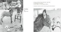 Zusatzmaterial PA 978 3 7373 5233 8 innen 001 von Mein Esel Benjamin (Pappbilderbuch) von Hans Limmer, Lennart Osbeck