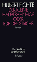 Buchcover von Der Kleine Hauptbahnhof oder Lob des Strichs: Roman von Hubert Fichte