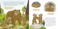 Zusatzmaterial PA 978 3 7373 7256 5 innen 003 von I Am the Little Bear: Ein Sachbilderbuch für neugierige Kinder ab 2 Jahren von Andrea Weller-Essers, Sandra Kissling