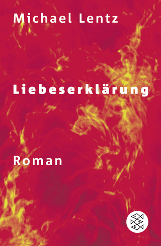 Buchcover von Liebeserklärung: Roman