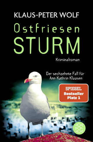 Buchcover von Ostfriesensturm