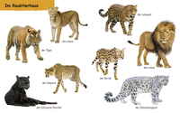 Zusatzmaterial PA 978 3 7373 3430 3 innen 002 von Do You Know? Zoo Animals: ab 12 Monaten