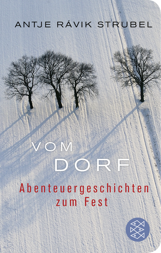 Buchcover von Vom Dorf: Abenteuergeschichten zum Fest