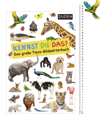 Zusatzmaterial PA 978 3 7373 3491 4 abmessung von Do You Know? The Big Animal Picture Dictionary: extra großes Foto-Pappbilderbuch 