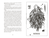 Zusatzmaterial PA 978 3 7373 7572 6 innen 001 von Hazelthorn von CG Drews