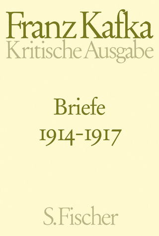 Buchcover von Briefe 1914-1917: Band 3