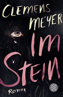 Buchcover von Im Stein: Roman von Clemens Meyer
