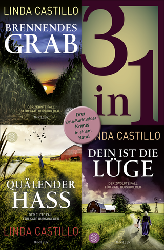 Buchcover von Brennendes Grab / Quälender Hass / Dein ist die Lüge - Drei Kate-Burkholder-Krimis in einem Band