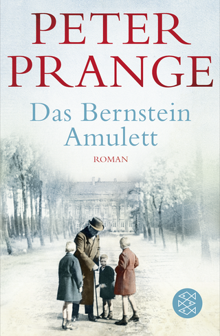 Buchcover von Das Bernstein-Amulett: Roman