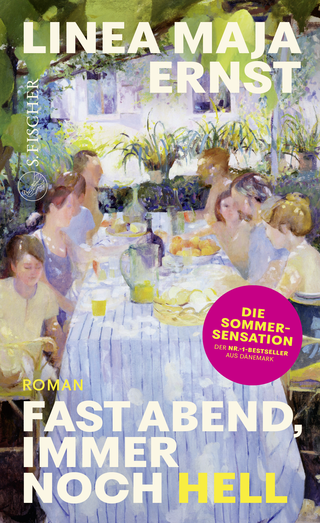 Buchcover von Fast Abend, immer noch hell: Roman