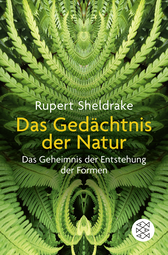 Buchcover von Das Gedächtnis der Natur: Das Geheimnis der Entstehung der Formen von Rupert Sheldrake