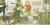 Zusatzmaterial PA 978 3 7373 5935 1 innen 003 von Lieselotte feiert Weihnachten: Lustige Weihnachtsreime mit der Kuh Lieselotte für Kinder ab 2 Jahren von Alexander Steffensmeier