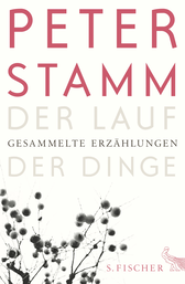 Buchcover von Der Lauf der Dinge: Gesammelte Erzählungen von Peter Stamm