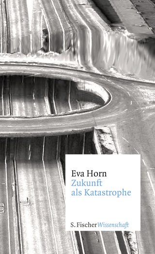 Buchcover von Zukunft als Katastrophe