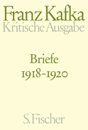 Buchcover von Briefe 1918-1920: Band 4 von Franz Kafka
