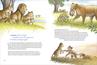 Zusatzmaterial PA 978 3 7571 0191 6 innen 002 von Die kunterbunte Welt der Tierfamilien von Christian Johannsmann, Stéffie Becker