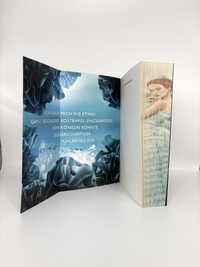 Zusatzmaterial PA 978 3 7335 1022 0 innen 004 von Selection von Kiera Cass