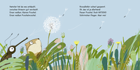 Zusatzmaterial PA 978 3 7373 6125 5 innen 001 von A Blowball for You! - How the Dandelion Came to the Squirrel: Wie der Löwenzahn zum Eichhörnchen kam von Regina Schwarz, Julia Dürr