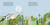 Zusatzmaterial PA 978 3 7373 6125 5 innen 001 von A Blowball for You! - How the Dandelion Came to the Squirrel: Wie der Löwenzahn zum Eichhörnchen kam von Regina Schwarz, Julia Dürr