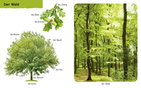Zusatzmaterial PA 978 3 7373 3431 0 innen 001 von Do You Know? In the Forest: ab 12 Monaten