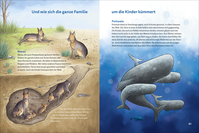 Zusatzmaterial PA 978 3 7571 0191 6 innen 003 von Die kunterbunte Welt der Tierfamilien von Christian Johannsmann, Stéffie Becker
