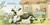 Zusatzmaterial PA 978 3 7373 5919 1 innen 001 von Lieselotte Is Looking Forward to Spring von Alexander Steffensmeier