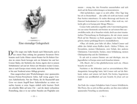 Zusatzmaterial PA 978 3 7335 0620 9 innen 002 von Land of Stories: Das magische Land - Eine düstere Warnung von Chris Colfer, Brandon Dorman