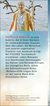 Zusatzmaterial KL 978 3 596 70990 8 hinten von Wolkenschiffe tragen dich von Patricia Koelle
