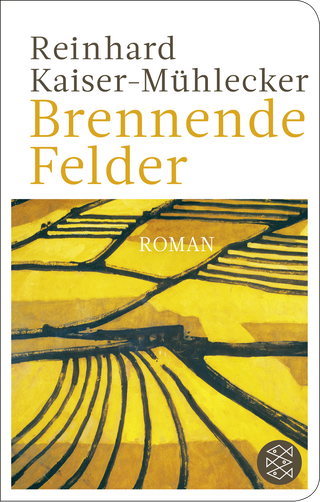 Buchcover von Brennende Felder: Roman