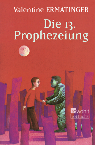 Buchcover von Die 13. Prophezeiung