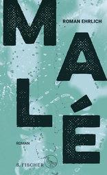 Buchcover von Malé: Roman von Roman Ehrlich