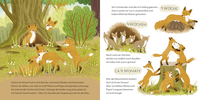 Zusatzmaterial PA 978 3 7373 7317 3 innen 002 von Do You Know Me? I am the Little Fox: Ein Sachbilderbuch für neugierige Kinder ab 2 Jahren von Andrea Weller-Essers, Sandra Kissling