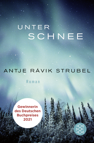 Buchcover von Unter Schnee: Roman