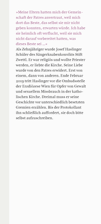 Zusatzmaterial KL 978 3 10 030058 4 vorne von Mein Fall von Josef Haslinger