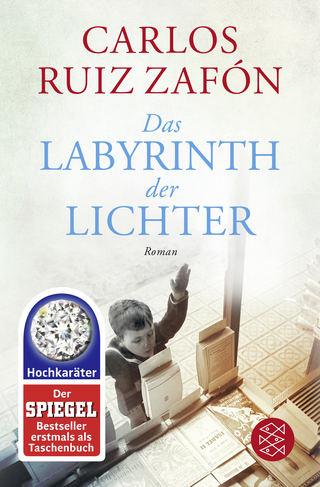Buchcover von Das Labyrinth der Lichter: Roman