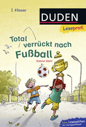 Buchcover von Duden Leseprofi – Total verrückt nach Fußball, 1. Klasse von Sabine Stehr