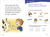 Zusatzmaterial PA 978 3 7373 3668 0 innen 003 von The Wildest Animal Hotel von Sabine Stehr, Stefanie Reich
