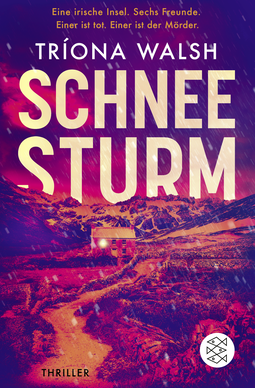 Buchcover von Schneesturm: Thriller von Tríona Walsh